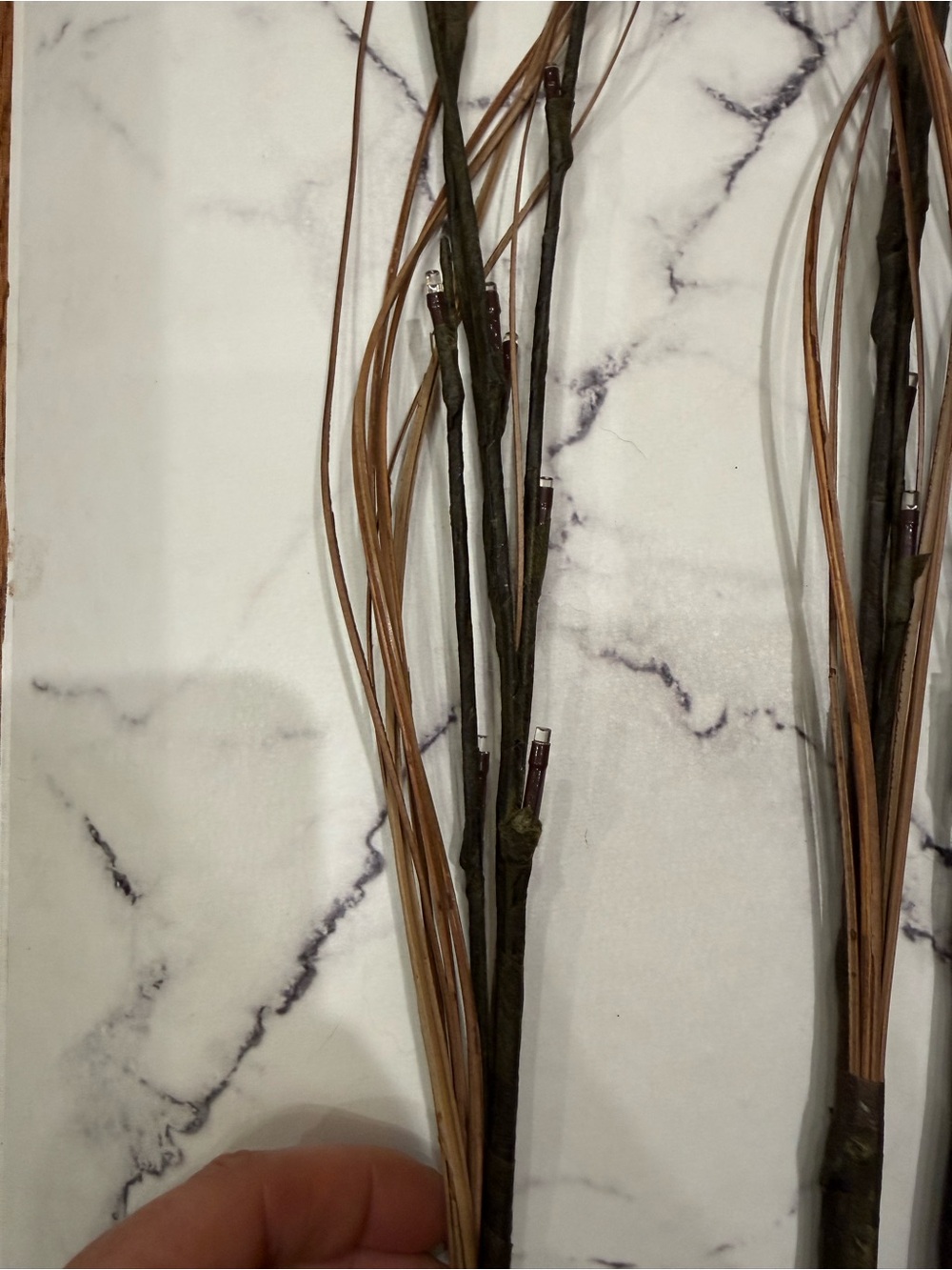 Lighted Branches - Picture 2 of 7
